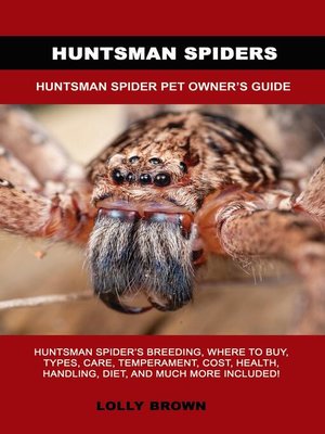 cover image of Huntsman Spiders